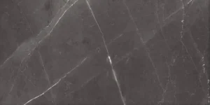 Ash Ford Nero plytelė (60x120)