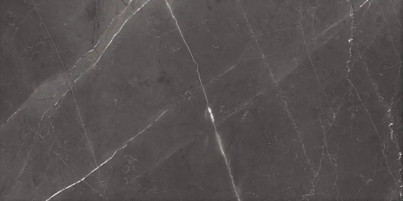 Ash Ford Nero plytelė (60x120)