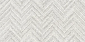 Borneo Arrow White Mate 60x120 XS RC PB