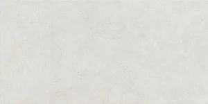 Borneo White Mate 60x120 SL RC