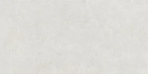 Borneo White Mate 60×120 XS RC PB