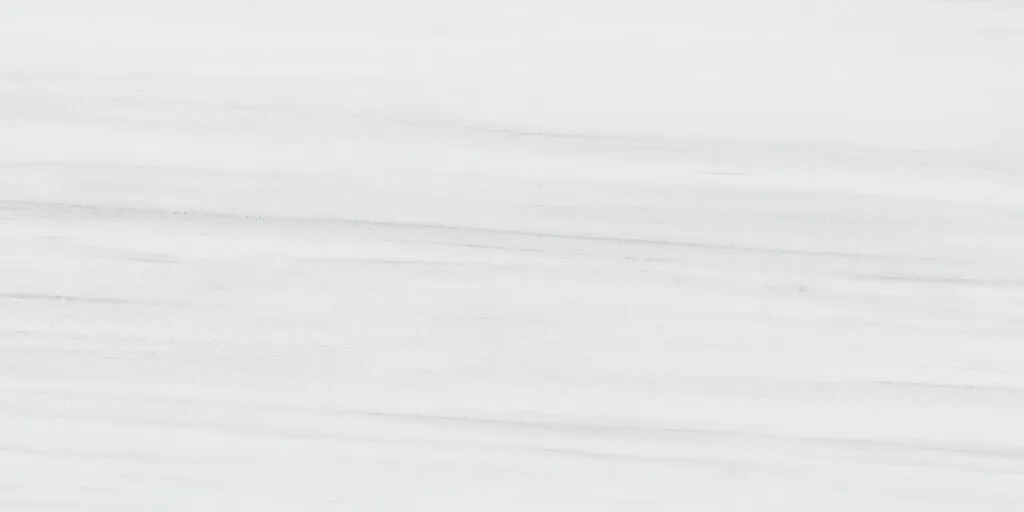 Dolomite White Mate 60x120 RC