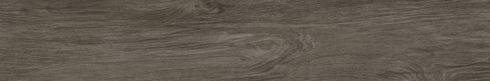 Copenhagen Vengue (20x120)