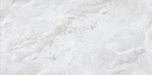 Infinity Geona Grey Polished plytelė (60x120)