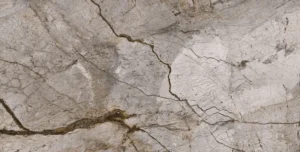 Rain Forest Natural Polished plytelė (60x120)