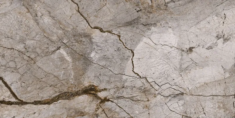 Rain Forest Natural Polished plytelė (60x120)