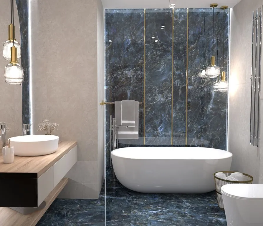 Stilingos vonios kambario erdvės 3D vizualizacija